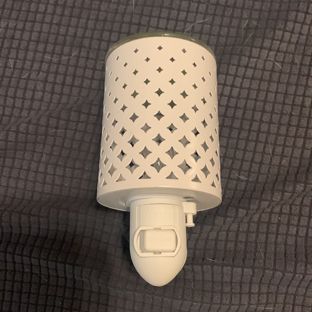 Scentsy plug-in warmer and Amazon Rain wax melts (one used).